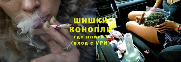 шишки Алексин