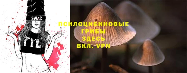 шишки Алексин