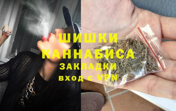 шишки Алексин