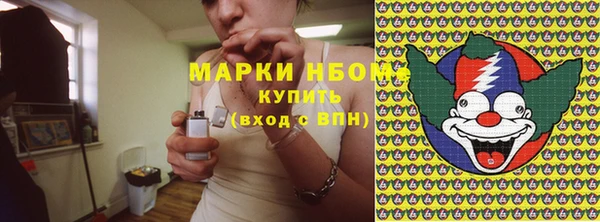 шишки Алексин
